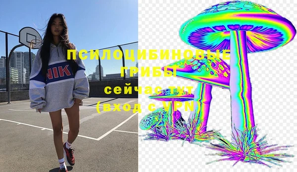 прущие грибы Арсеньев