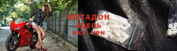 прущие грибы Арсеньев