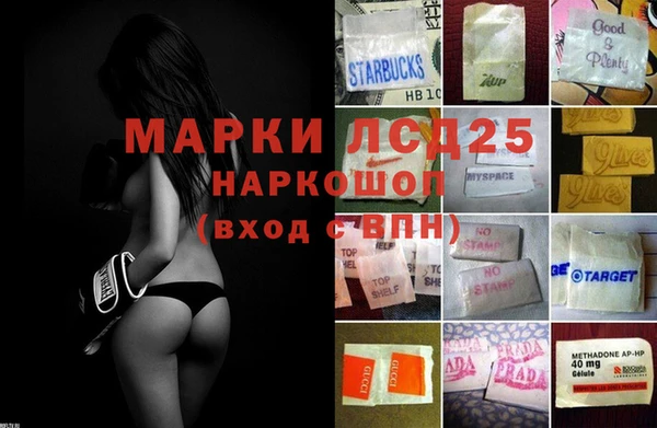 прущие грибы Арсеньев