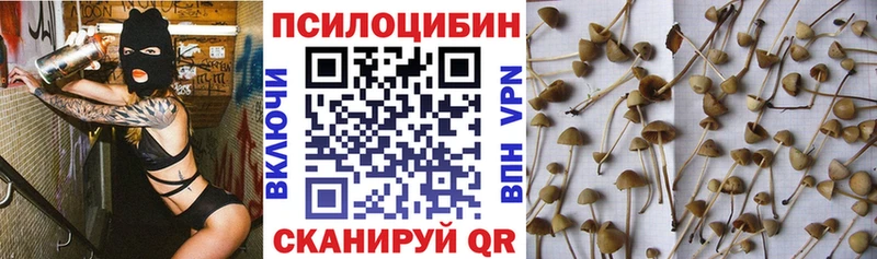 Псилоцибиновые грибы GOLDEN TEACHER  Полысаево 