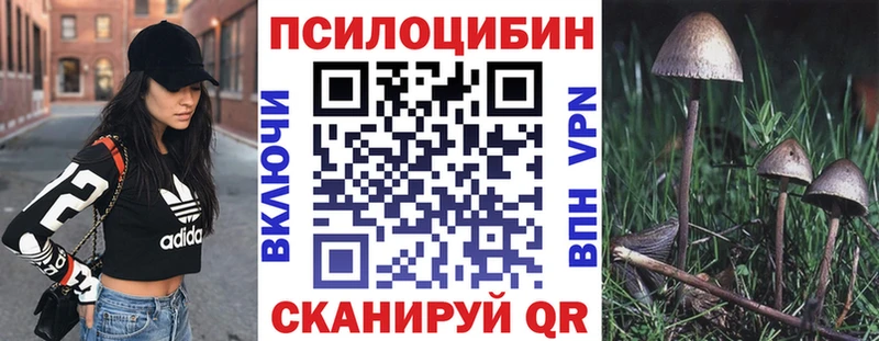 Псилоцибиновые грибы Psilocybe Полысаево